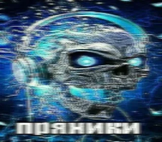 Sticker from 💀ПРЯНИКИ💀