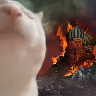 Sticker from Гей, козаче! @ukrclassicmemes