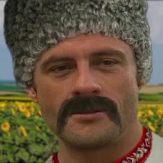 Sticker from Гей, козаче! @ukrclassicmemes