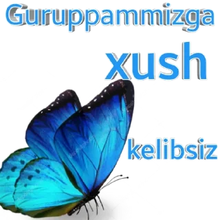 💎 emoji Samina silver unversalniy internet magizin shop Telegram sticker 9 of 15