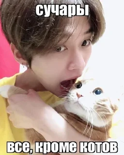 🌟 emoji ДЛЯ СТЭЙЛА Telegram sticker 19 of 31