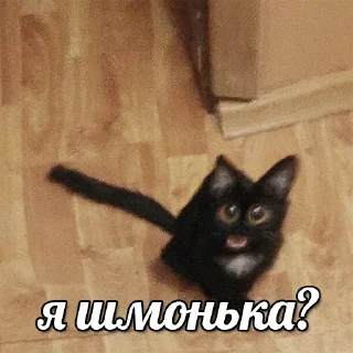 😯 emoji Больше стикеров 👉🏻 @stickertg4 Telegram sticker 19 of 22