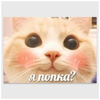 🥰 emoji Больше стикеров 👉🏻 @stickertg4 Telegram sticker 17 of 22