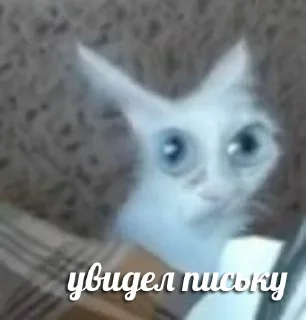 😳 emoji Больше стикеров 👉🏻 @stickertg4 Telegram sticker 7 of 22