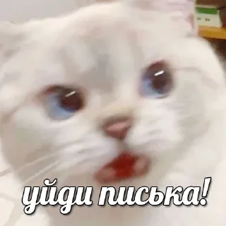 😒 emoji Больше стикеров 👉🏻 @stickertg4 Telegram sticker 18 of 22