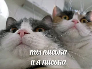 👩‍❤️‍👨 emoji Больше стикеров 👉🏻 @stickertg4 Telegram sticker 13 of 22