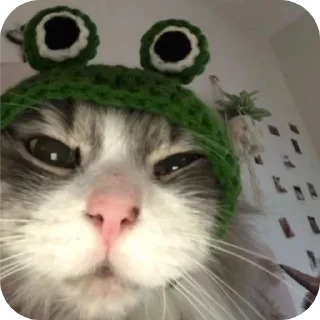 🐱 emoji ፱፱፱፱፱፱፱፱፱፱፱፱፱፱፱፱፱፱፱፱፱፱፱፱፱፱፱፱፱፱፱፱፱ Telegram sticker 21 of 120