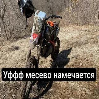 🤪 emoji Моточатик ➡️ @Ctikerubot Telegram sticker 12 of 104