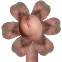 🌼 emoji some crap Telegram sticker 3 of 53