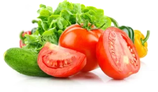 🍗 emoji Больше стиков тут: @stikery4 Telegram sticker 19 of 100