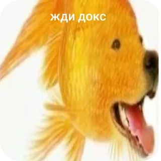 🌸 emoji Жди кокс Telegram sticker 11 of 27
