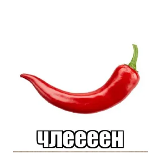 🍆 emoji koks Telegram sticker 23 of 43