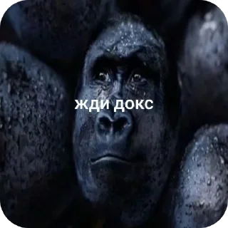 🗿 emoji Жди кокс Telegram sticker 5 of 27