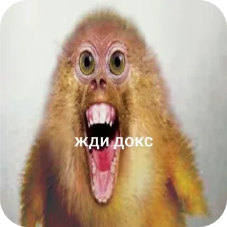👄 emoji Жди кокс Telegram sticker 10 of 27