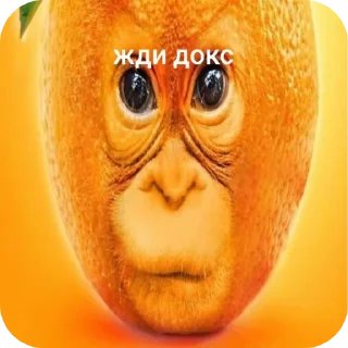 🍲 emoji Жди кокс Telegram sticker 12 of 27