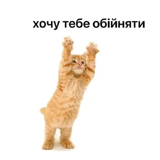 Кицацица sticker 1