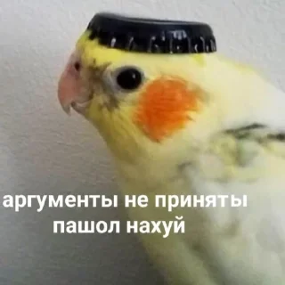 🧐 emoji Вп Telegram sticker 4 of 43