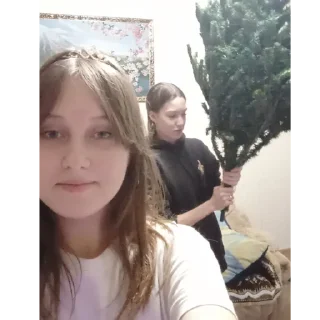😇 emoji шимпанзе и макака Telegram sticker 8 of 83
