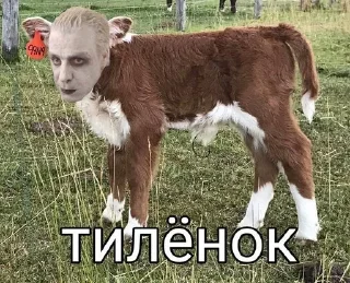 🌟 emoji Голубая луна голубая Telegram sticker 12 of 50