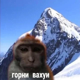 Sticker from вахуи