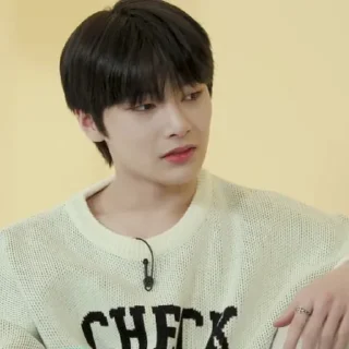 😐 emoji Skz Telegram sticker 22 of 120