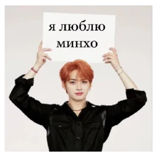 😄 emoji Skz Telegram sticker 17 of 35