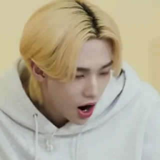 😳 emoji Skz Telegram sticker 17 of 120