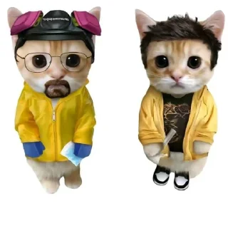🐱 emoji Breaking meme's Telegram sticker 5 of 21