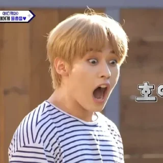 😰 emoji 𝐒𝐭𝐫𝐚𝐲 𝐤𝐢𝐝𝐬 @SeoMigyong Telegram sticker 22 of 22