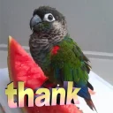 😊 emoji Random bird stuff Telegram sticker 13 of 120