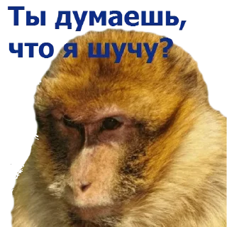 💪 emoji Сотрясение залупы 👎👎👎 Telegram sticker 23 of 23