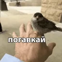😤 emoji АУЕ. — @stckrRobot Telegram sticker 23 of 105