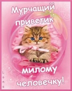 Sticker from Ядерные открытки :: @siogiso