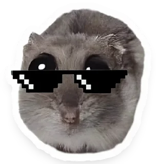 😎 emoji Хомяк Telegram sticker 14 of 91