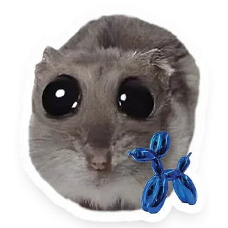 🎈 emoji Хомяк Telegram sticker 12 of 91