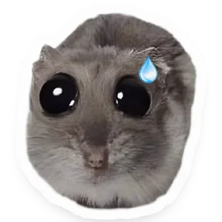 😓 emoji Хомяк Telegram sticker 5 of 91