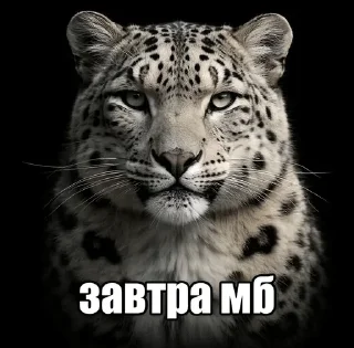 Sticker from посмотрим