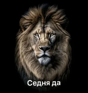 Sticker from посмотрим