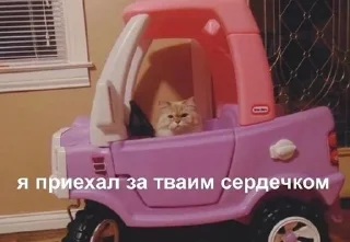 🌟 emoji Тыгыдык Telegram sticker 6 of 50