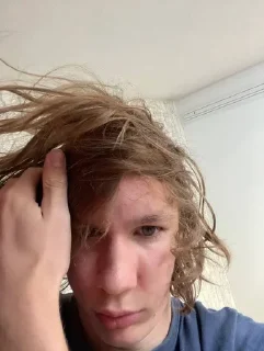 😏 emoji Медвежья будка Telegram sticker 22 of 32