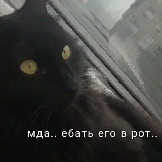 Sticker from Пельмени,это очень вкусные пельмени