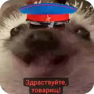 Sticker from Ежиная империя