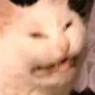 🤬 emoji Для переговоров [@wall1080] Telegram sticker 9 of 39