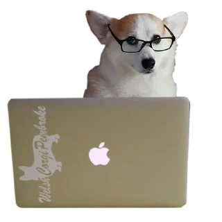 🙁 emoji Corgis @stickersb2b Telegram sticker 20 of 20