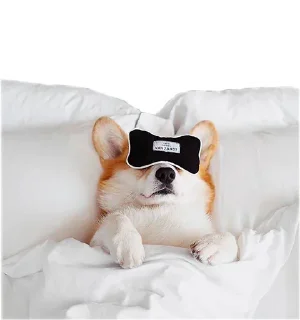 🤠 emoji Corgis @stickersb2b Telegram sticker 16 of 20