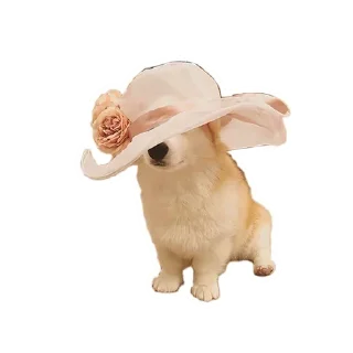 😒 emoji Corgis @stickersb2b Telegram sticker 11 of 20