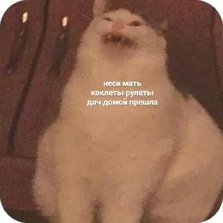 🫥 emoji Мемы и Коты Telegram sticker 16 of 32