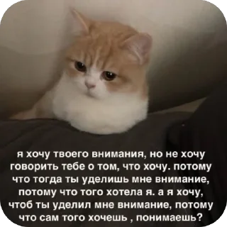 🫥 emoji Мемы и Коты Telegram sticker 22 of 32