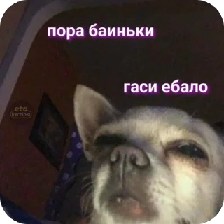 🫥 emoji Мемы и Коты Telegram sticker 17 of 32