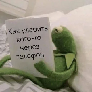 Sticker from улугбек и коты